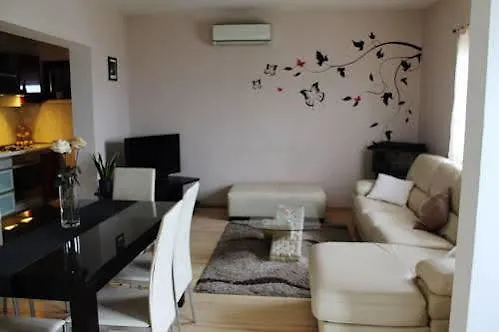 Bellezza טרוגיר